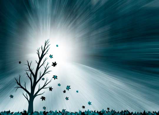 Grief and loss counselling Sydney. 